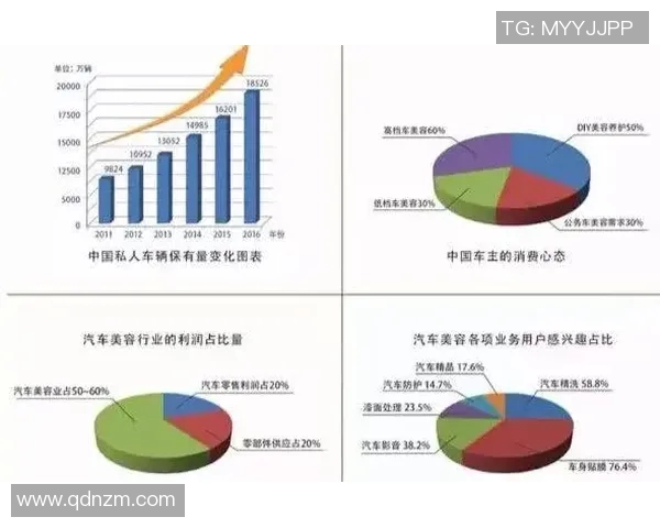重庆乒乓球队的阵地战策略与发展现状深度解析