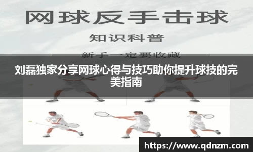 刘磊独家分享网球心得与技巧助你提升球技的完美指南