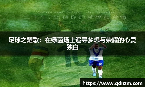 足球之楚歌：在绿茵场上追寻梦想与荣耀的心灵独白